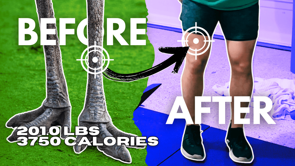 Workout Intensity for Hockey Players — How Hard Should You Train? - Pajer Hockey