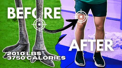 Workout Intensity for Hockey Players — How Hard Should You Train? - Pajer Hockey